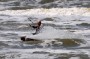 Thumbs/tn_Kite Board Open 2016 zondag 172.jpg